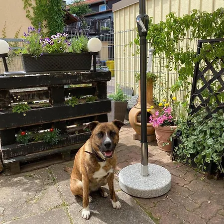 Tatil Evi In Wernigerode, Cleaning Included